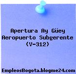 Apertura Ay Güey Aeropuerto Subgerente (V-312)