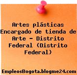 Artes plásticas Encargado de tienda de Arte – Distrito Federal (Distrito Federal)