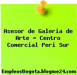 Asesor de Galeria de Arte – Centro Comercial Peri Sur