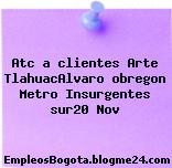 Atc A Clientes Arte Tlahuac/Alvaro Obregon – Metro Insurgentes Sur/20 Nov