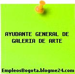 AYUDANTE GENERAL DE GALERIA DE ARTE