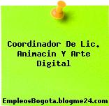Coordinador De Lic. Animacin Y Arte Digital