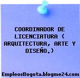 COORDINADOR DE LICENCIATURA ( ARQUITECTURA, ARTE Y DISEÑO.)