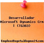 Desarrollador Microsoft Dynamics Crm | (TG363)