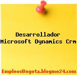 Desarrollador Microsoft Dynamics Crm