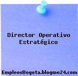 Director Operativo Estratégico
