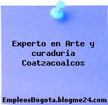 Experto en Arte y curaduria Coatzacoalcos