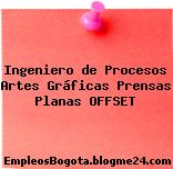 Ingeniero de Procesos Artes Gráficas Prensas Planas OFFSET
