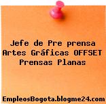 Jefe de Pre prensa Artes Gráficas OFFSET Prensas Planas