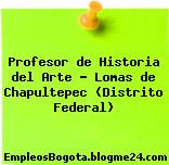 Profesor de Historia del Arte – Lomas de Chapultepec (Distrito Federal)