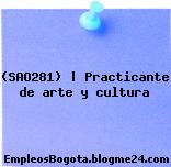 (SAO281) | Practicante de arte y cultura