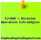 SJ-699 – Director Operativo Estratégico