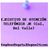 EJECUTIVO DE ATENCIÓN TELEFÓNICA JR (Col. Del Valle)