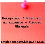 Recepción / Atención al cliente – Ciudad Obregòn