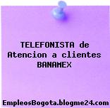 TELEFONISTA de Atencion a clientes BANAMEX