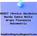 A265] Técnico Mecánico Mazda Santa Anita Grupo Plasencia Automotriz