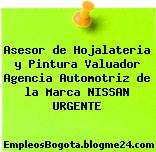 Asesor de Hojalateria y Pintura Valuador Agencia Automotriz de la Marca NISSAN URGENTE