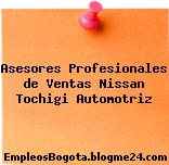 Asesores Profesionales de Ventas Nissan Tochigi Automotriz
