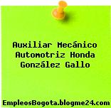 Auxiliar Mecánico Automotriz Honda González Gallo
