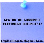 GESTOR DE COBRANZA TELEFÓNICA AUTOMOTRIZ