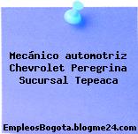 Mecánico automotriz Chevrolet Peregrina Sucursal Tepeaca