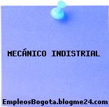 MECÁNICO INDISTRIAL