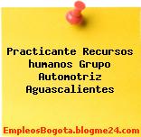 Practicante Recursos humanos Grupo Automotriz Aguascalientes