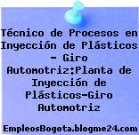 Técnico de Procesos en Inyección de Plásticos – Giro Automotriz:Planta de Inyección de Plásticos-Giro Automotriz