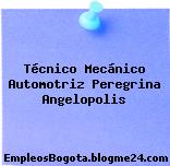 Técnico Mecánico Automotriz Peregrina Angelopolis