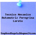 Tecnico Mecanico Automotriz Peregrina Loreto