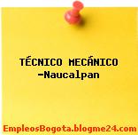TÉCNICO MECÁNICO -Naucalpan