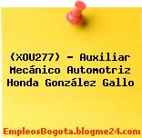 (XOU277) – Auxiliar Mecánico Automotriz Honda González Gallo