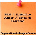 A223 | Ejecutivo Junior / Banca de Empresas