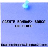AGENTE BANAMEX BANCA EN LINEA