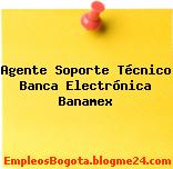 Agente Soporte Técnico Banca Electrónica Banamex