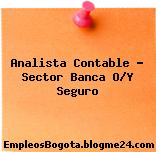 Analista Contable – Sector Banca O/Y Seguro