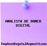 ANALISTA DE BANCA DIGITAL