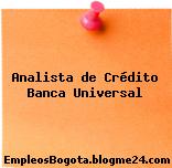Analista de Crédito Banca Universal