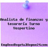 Analista de finanzas y tesorería Turno Vespertino