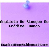 Analista De Riesgos De Crédito- Banca