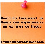Analista Funcional de Banca con experiencia en el area de Pagos