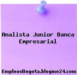 Analista Junior Banca Empresarial