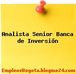 Analista Senior Banca de Inversión