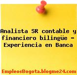 Analista SR contable y financiero bilingüe – Experiencia en Banca
