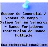 Asesor de Comercial / Ventas de campo – Xalapa Ver en Veracruz – Banco Forjadores Institucion de Banca Multiple