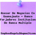 Asesor De Negocios En Guanajuato – Banco Forjadores Institucion De Banca Multiple