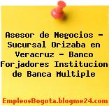 Asesor de Negocios – Sucursal Orizaba en Veracruz – Banco Forjadores Institucion de Banca Multiple