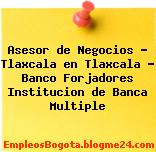 Asesor de Negocios – Tlaxcala en Tlaxcala – Banco Forjadores Institucion de Banca Multiple