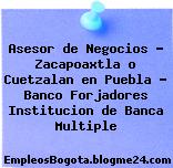 Asesor de Negocios – Zacapoaxtla o Cuetzalan en Puebla – Banco Forjadores Institucion de Banca Multiple