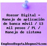 Asesor Digital – Manejo de aplicación de banca móvil / 13 mil pesos / PL / Manejo de sistema